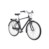 Herrcyklar 7 växlade