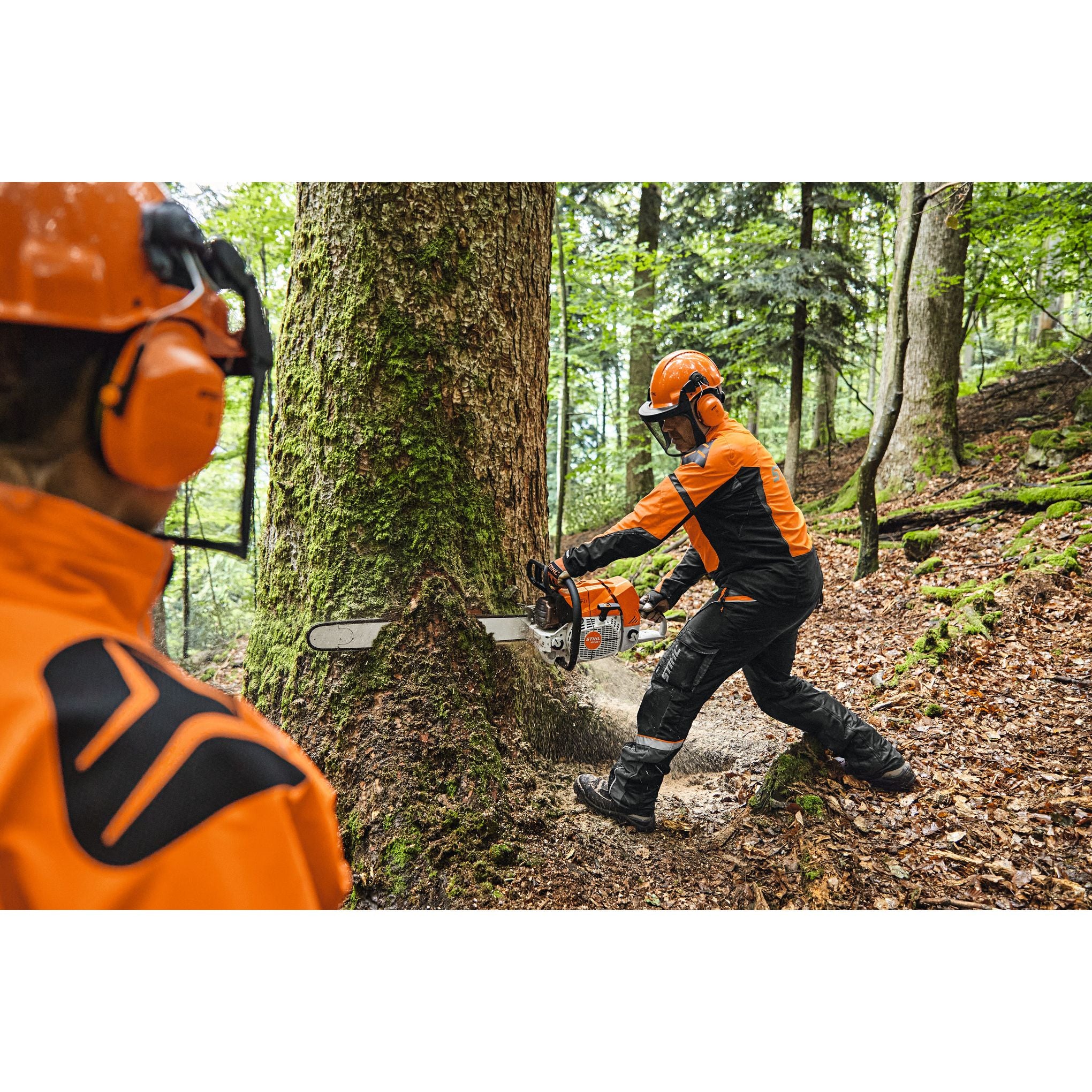 STIHL MS 881