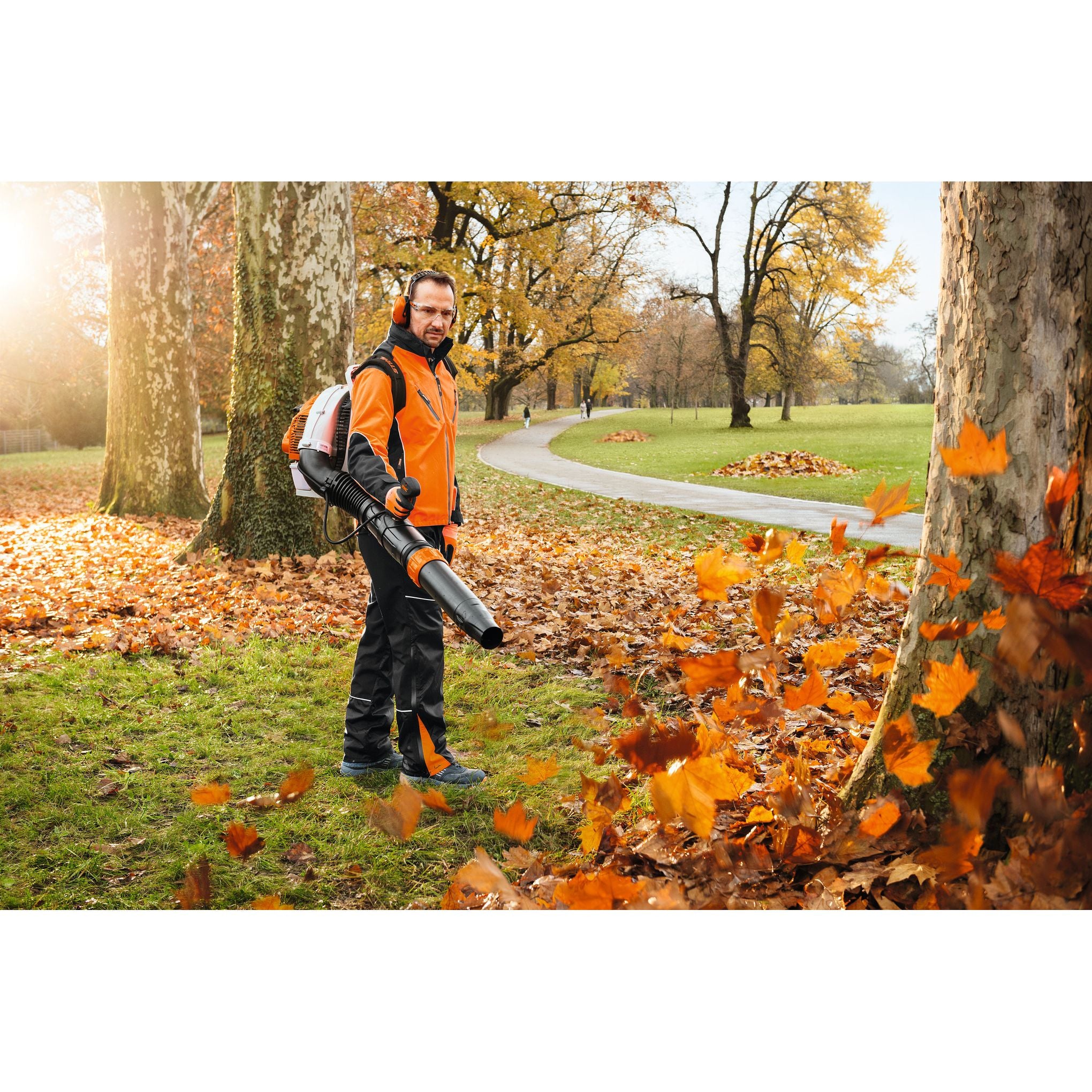 STIHL BR 450 C-EF