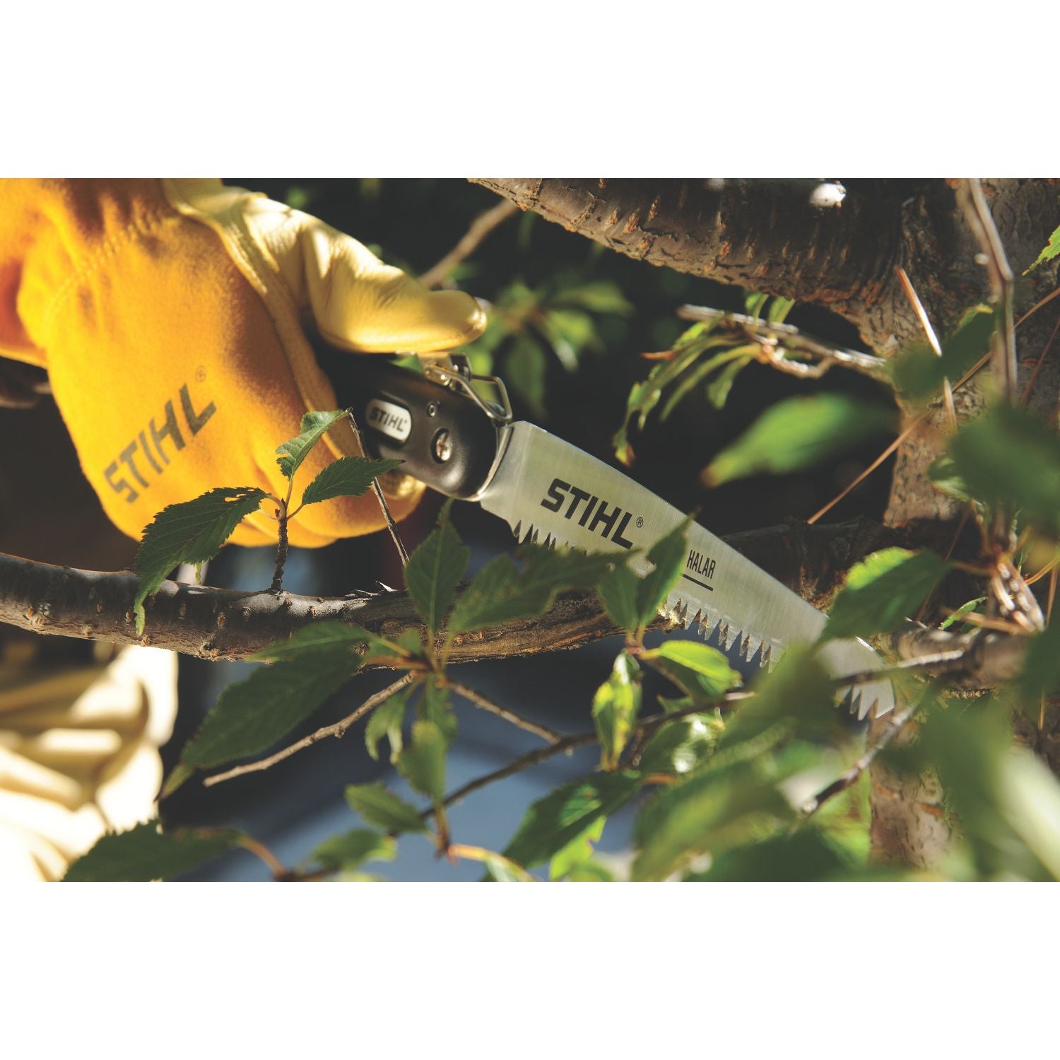 STIHL Grensåg med böjt sågblad, PR 27 C