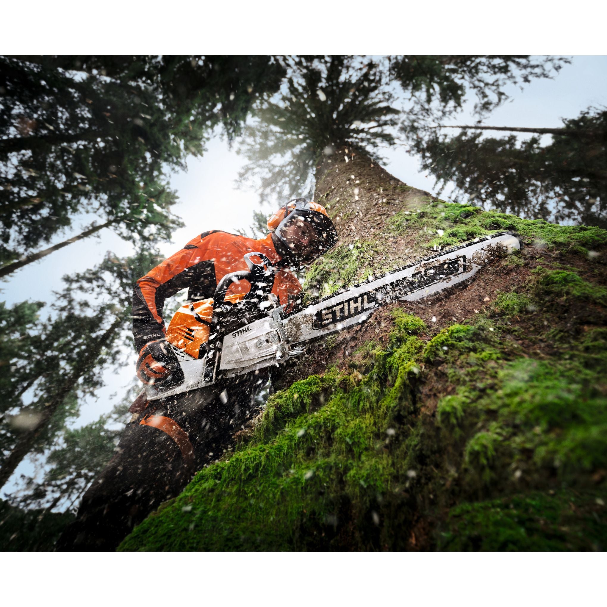 STIHL MS 500i W