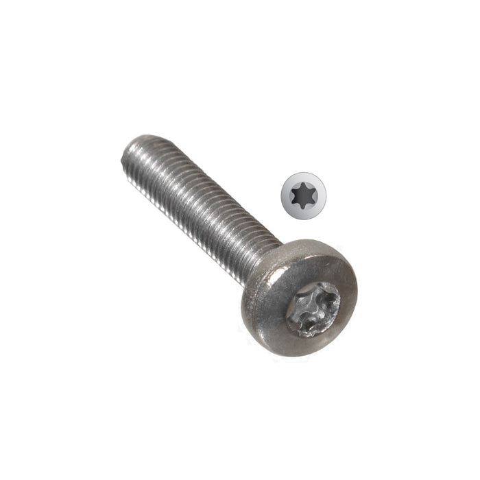 ROSTFRI TORX SKRUV M5*10 m låsning