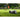 STIHL iMOW 5