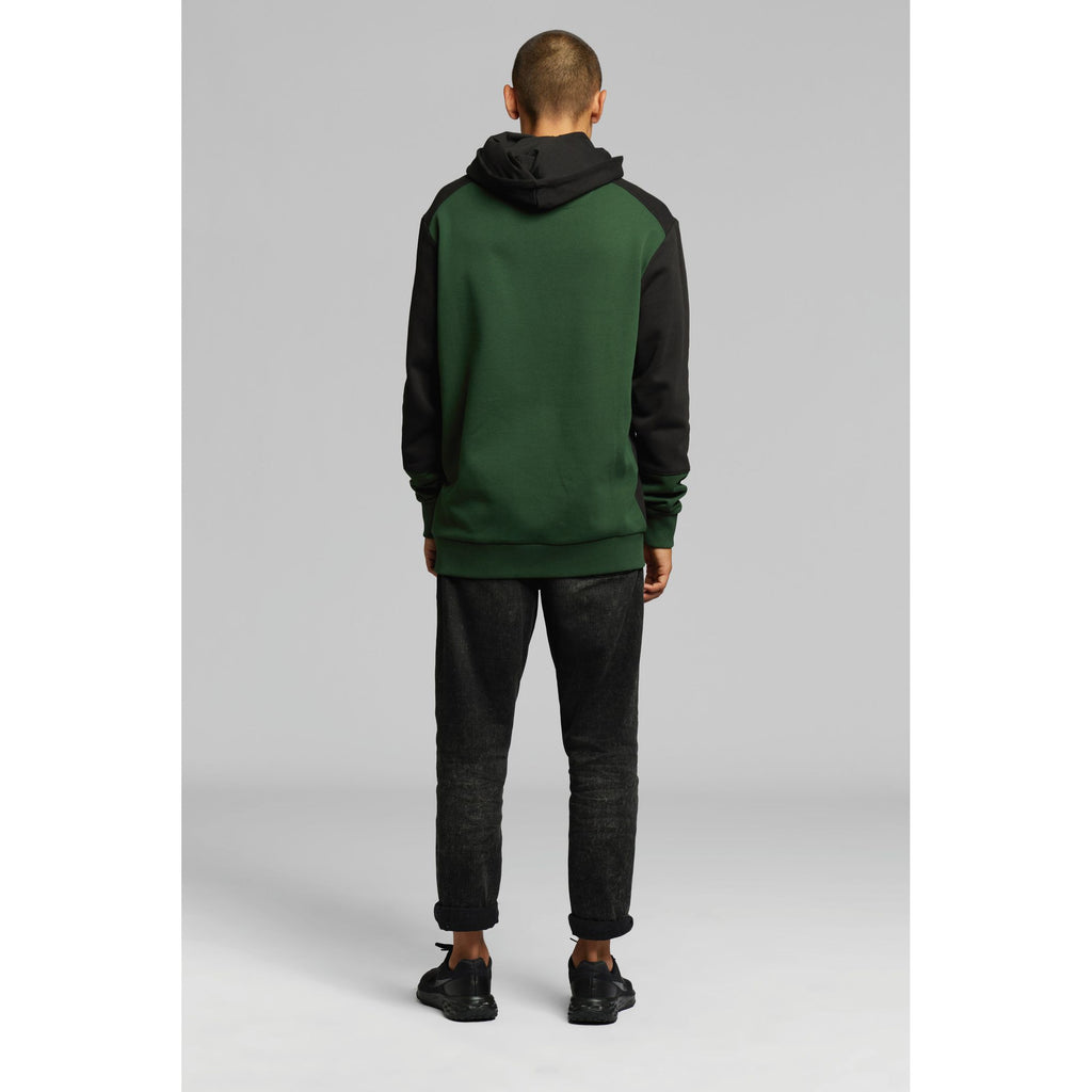 STIHL Hoodie COLORBLOCK POCKET grön