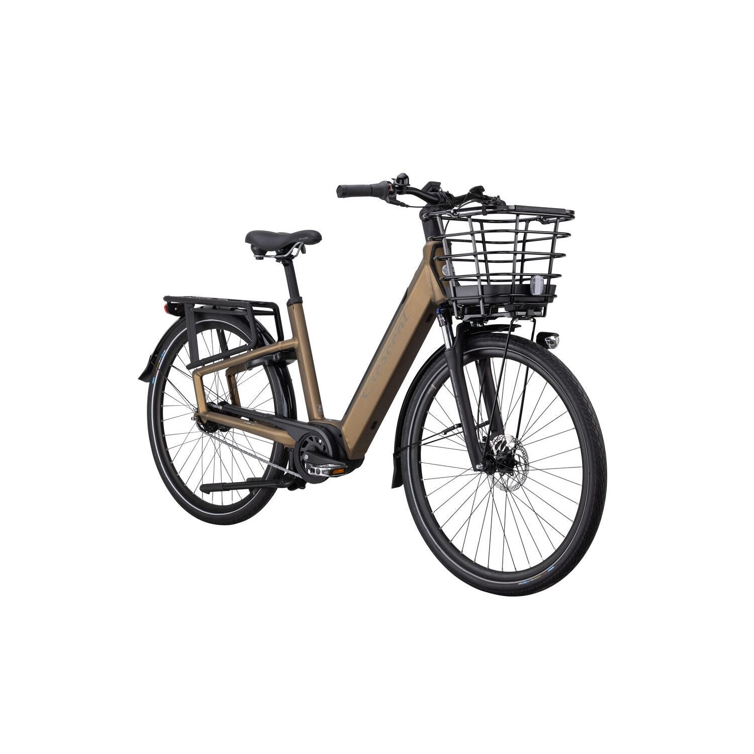 CRESCENT ELSTON 20 5vxl - Forest brown