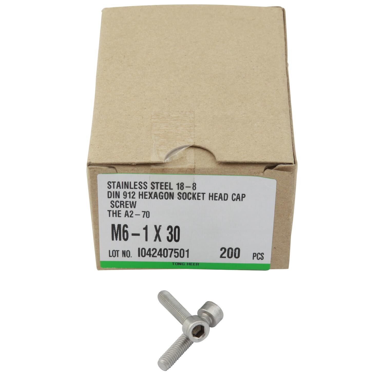 Skruv insex m6x55mm rf (100st)