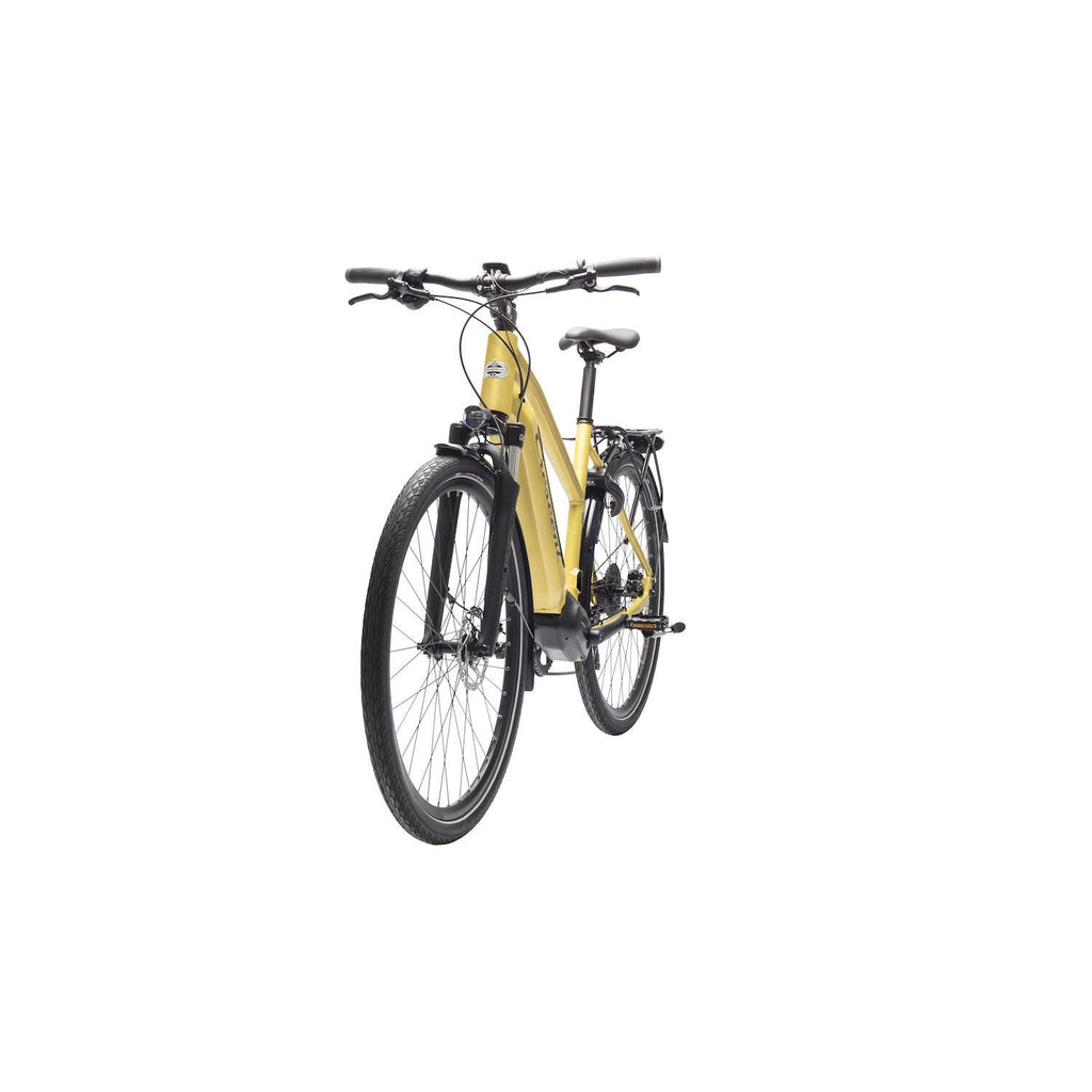 CRESCENT Elda 50S 9vxl - Guld matt