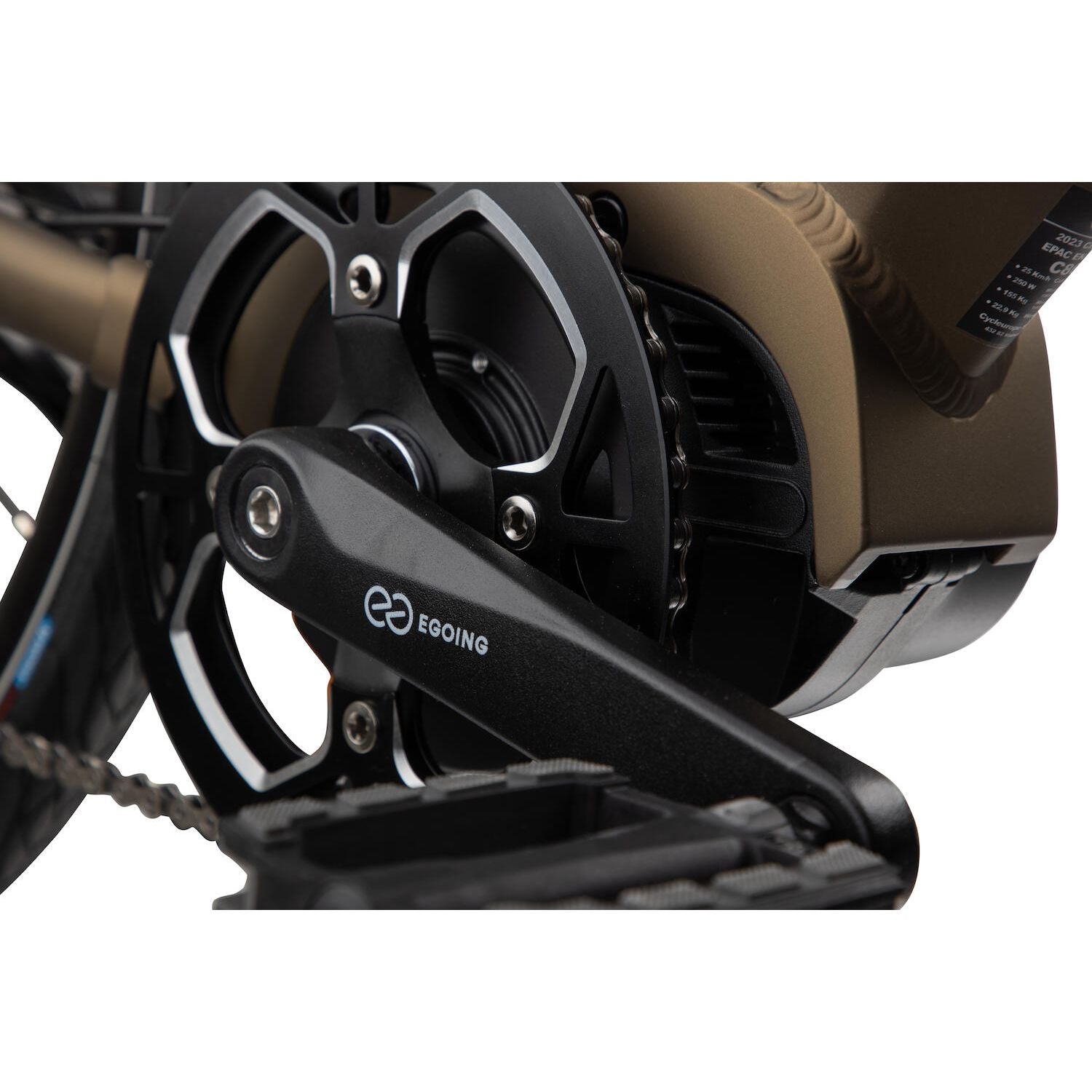 CRESCENT ELis 8vxl - Forest brown